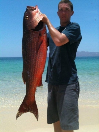 Pescando huachinango